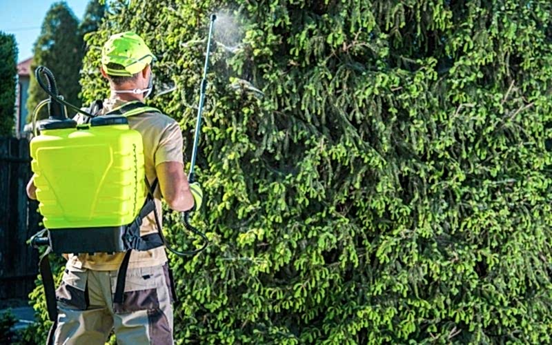 Bahçe İlaçlama Hizmetleri