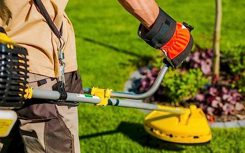 Periyodik Bahçe Bakımı