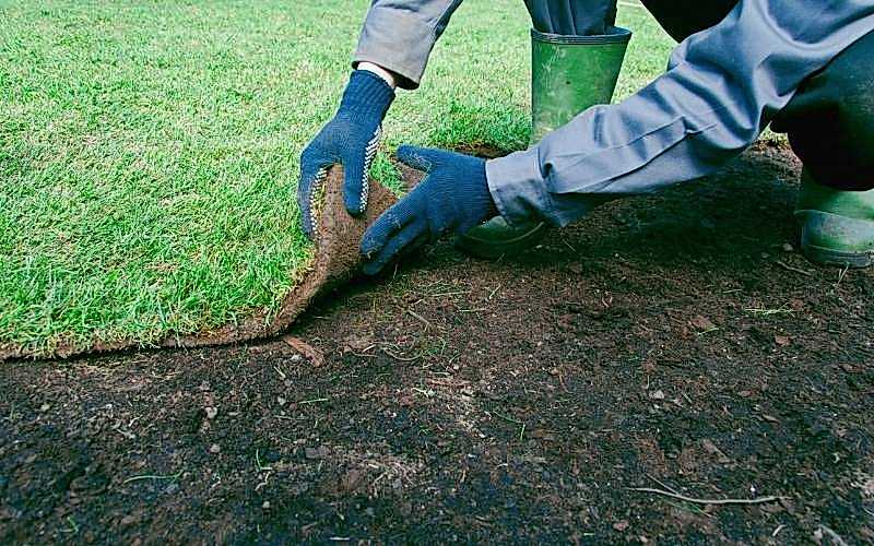 Rulo (Hazır) Çim Uygulaması