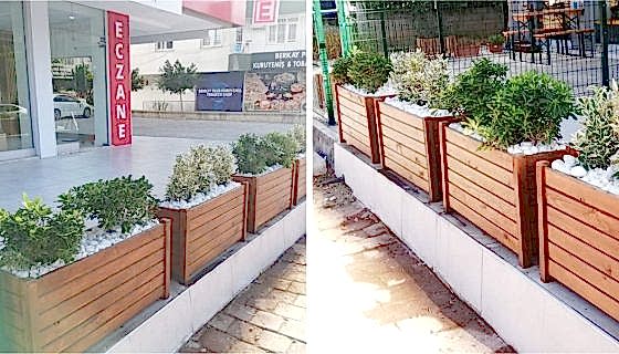 Balbadem Eczanesi - Saksı Çalışması